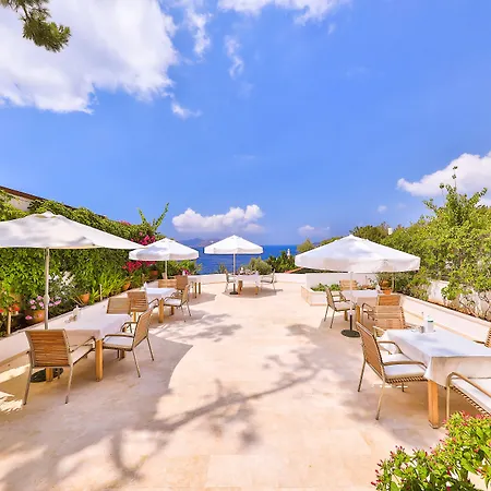Gardenia (adults Only) 3*
