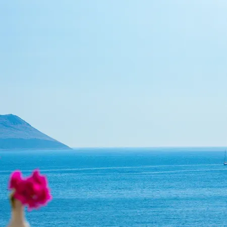 Gardenia (adults Only) Hotel Kas