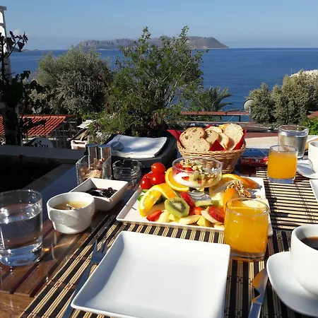 Hotel Gardenia (adults Only) 3*
