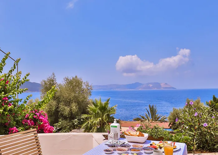 Otel Gardenia (adults Only) 3*